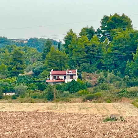 The Doctor's House - το σπίτι του γιατρού